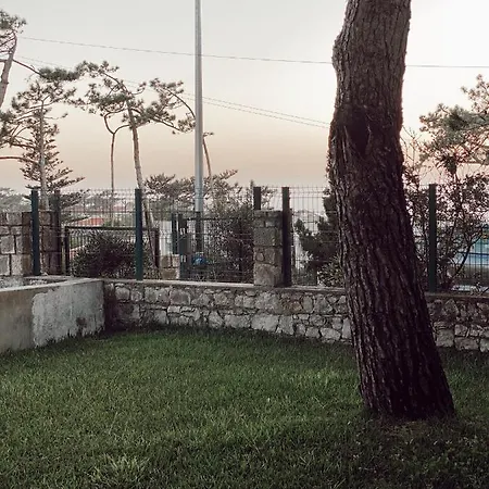 Casa Dos Pinheiros * São Pedro de Muel